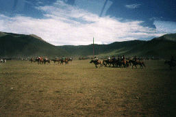 Naadam After the race